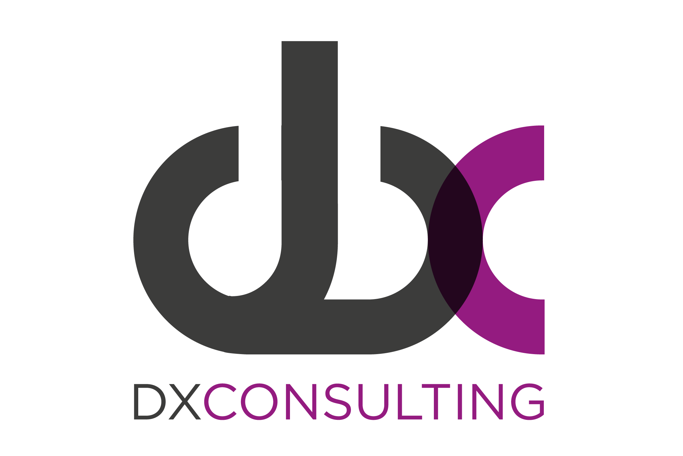 DX Consulting